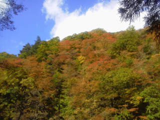 image-20131029002214.png